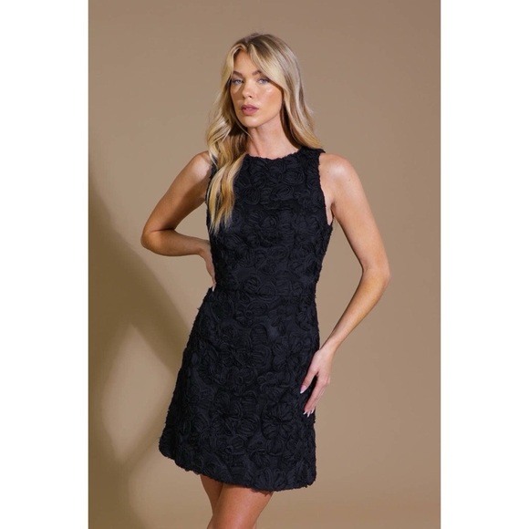 Flying Tomato Dresses & Skirts - Black Textured Woven Mini